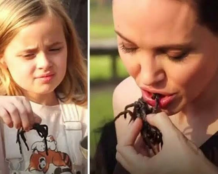 Insect-eating celebrities