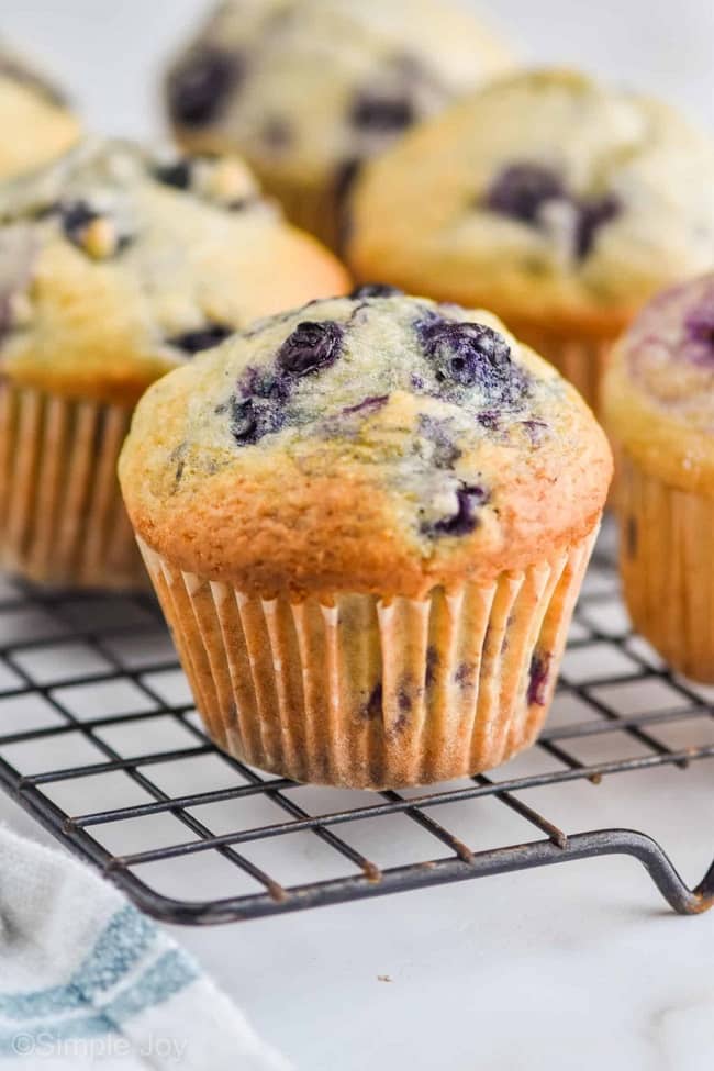 Blueberry Muffins yum (1)