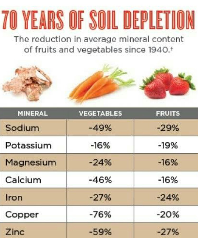Fruits and vegetables 
