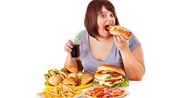 High fat diet