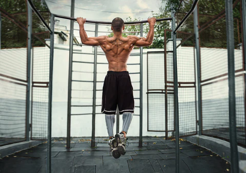 10 Best Pull Up Alternatives (with Pictures)