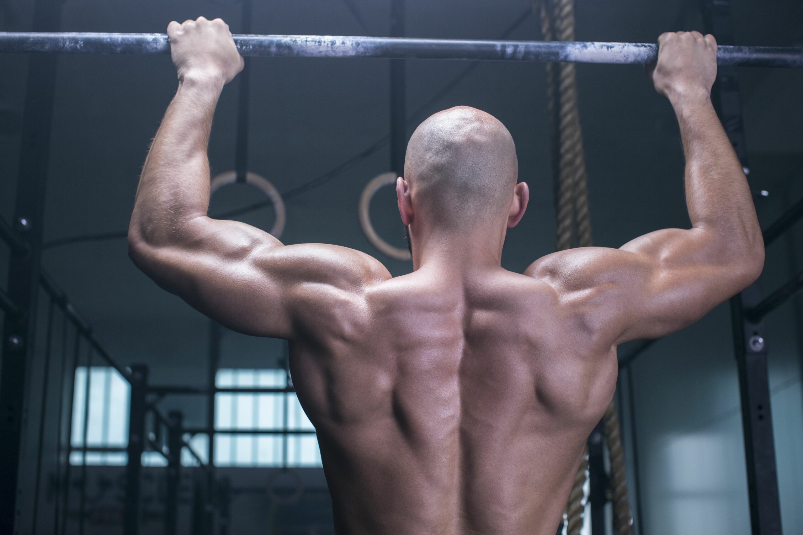 10 Best Pull Up Alternatives (with Pictures)