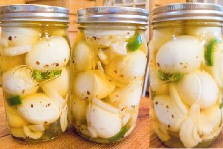 Easy Pickled Eggs (No Canning Required)