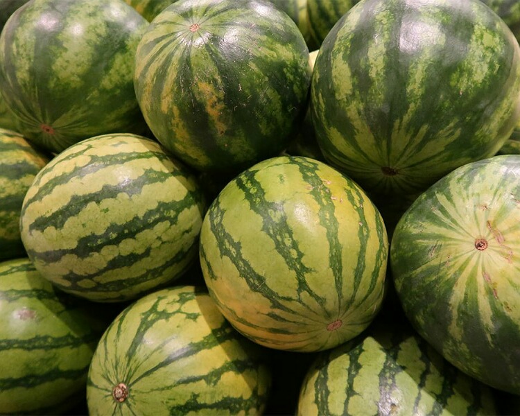 Best watermelon