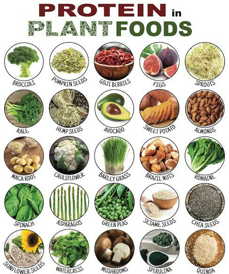 Plant foods 
