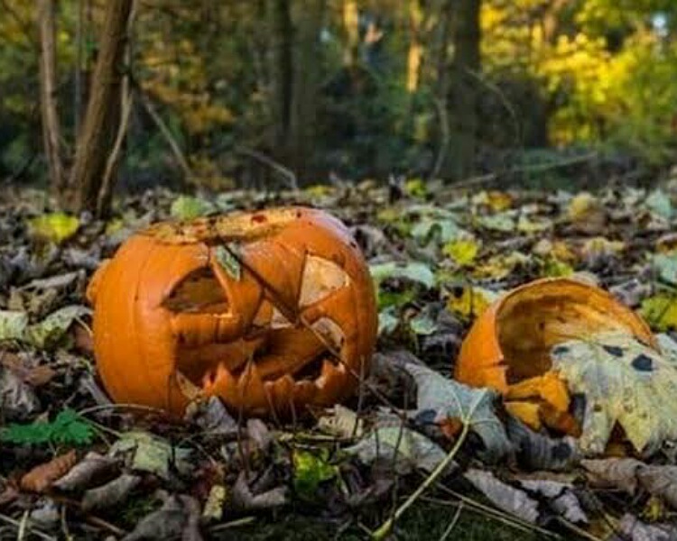 Halloween pumpkins