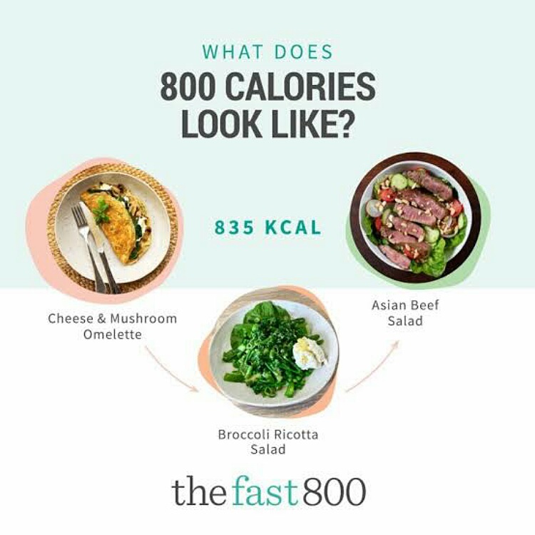 fast 800 diet