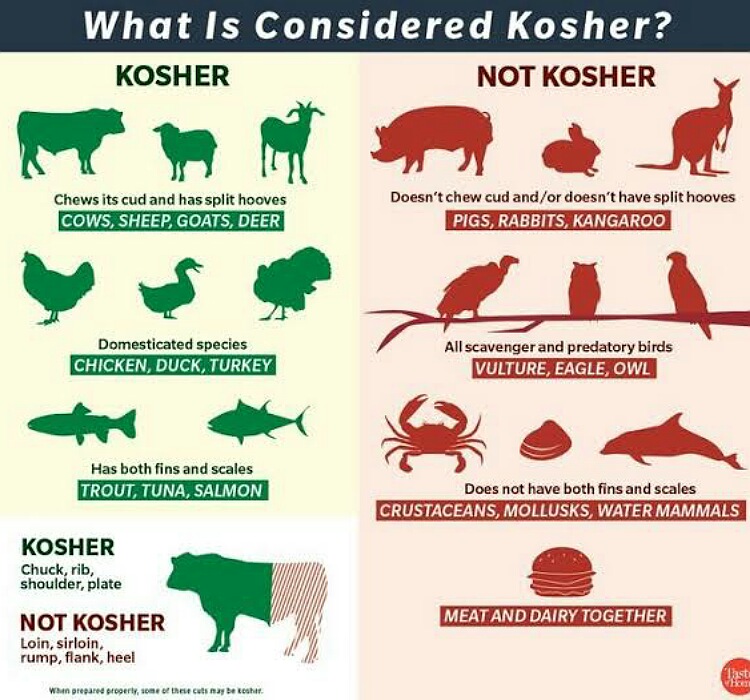 kosher diet