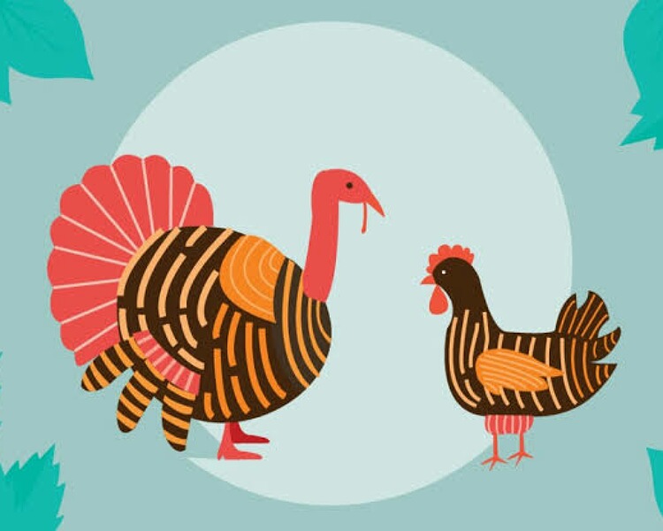 Turkey vs chicken meat