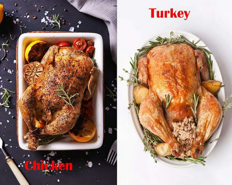 Turkey vs chicken meat