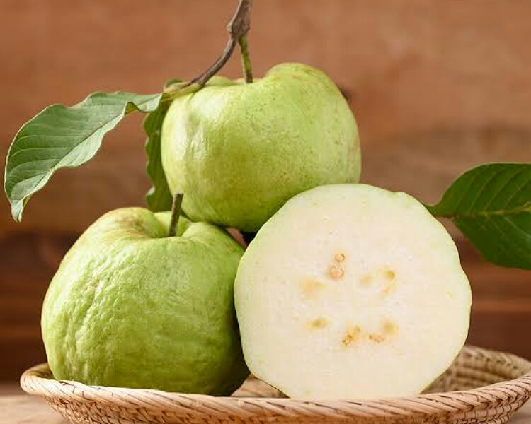 Guava 
