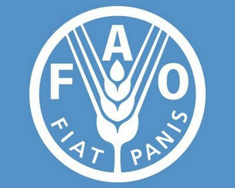 UN Food and Agriculture Organization