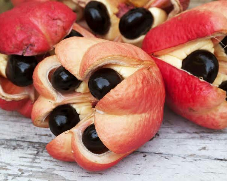 Ackee fruit