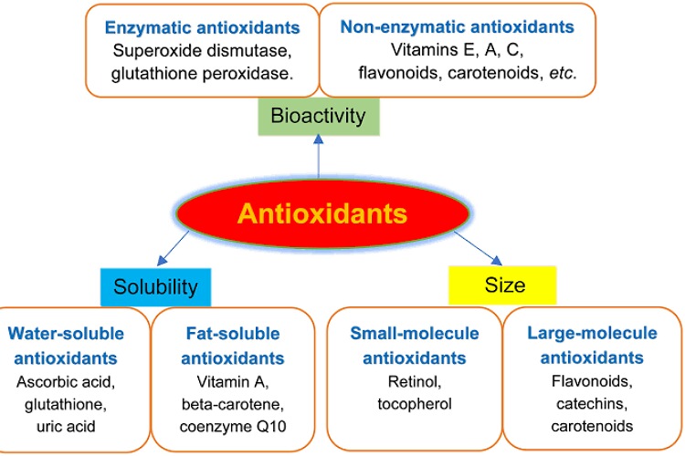 Natural sources of antioxidants 