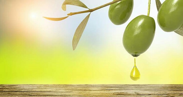 olive fruit water