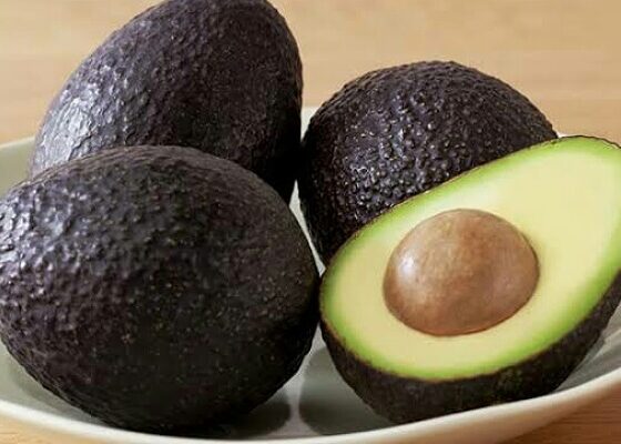 best avocado