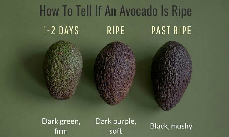 best avocado